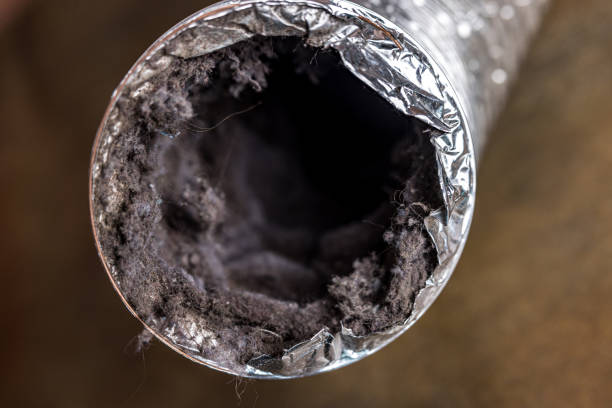 Best Professional Duct Cleaning Services  in Llano Grande, TX